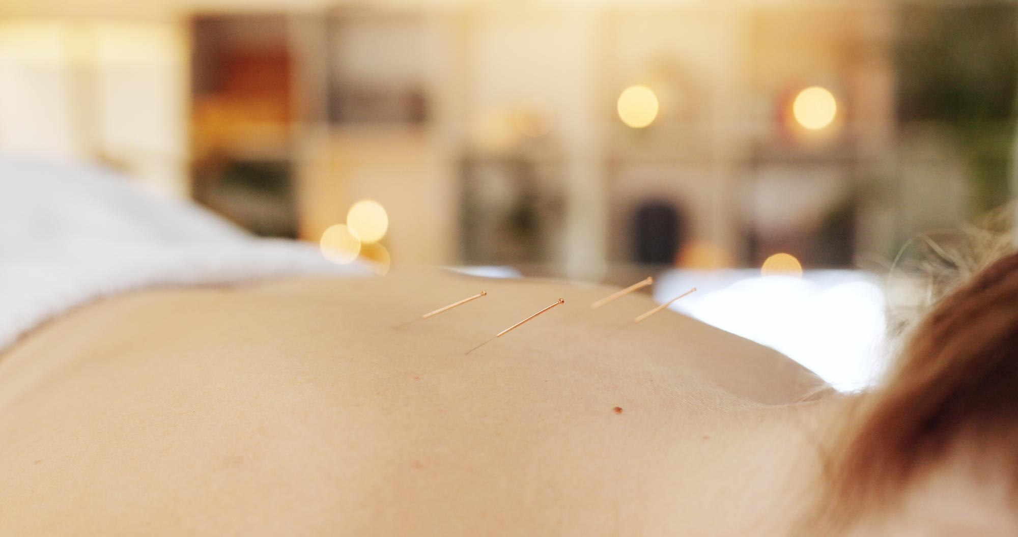 Discover the Total Pain Reset Program: A Holistic Healing Journey